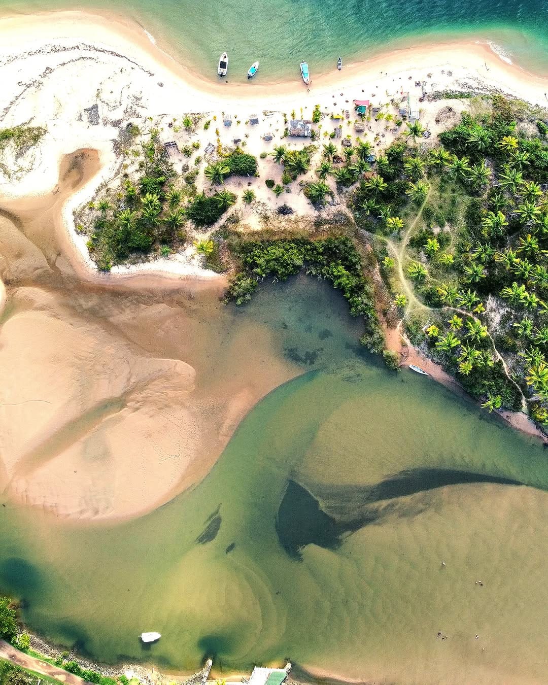 Vista aérea da costa e dos coqueirais da Península de Maraú