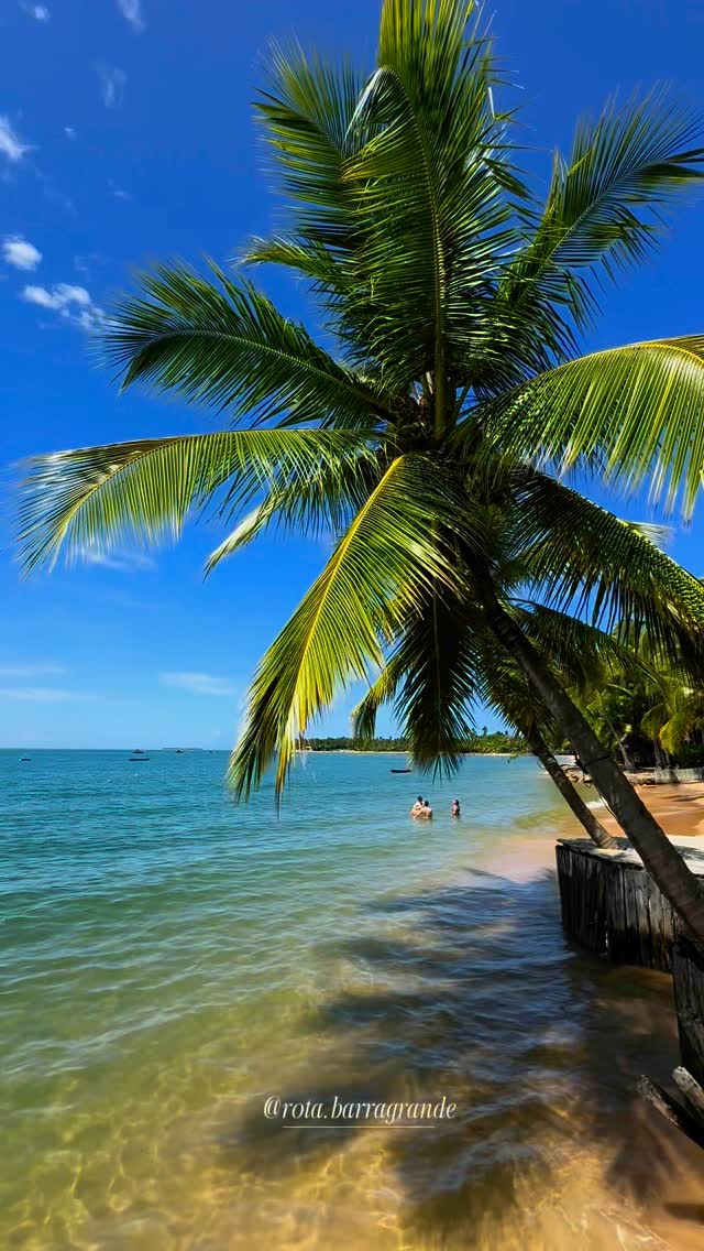 Praia tropical de águas claras na região da Baía de Camamu