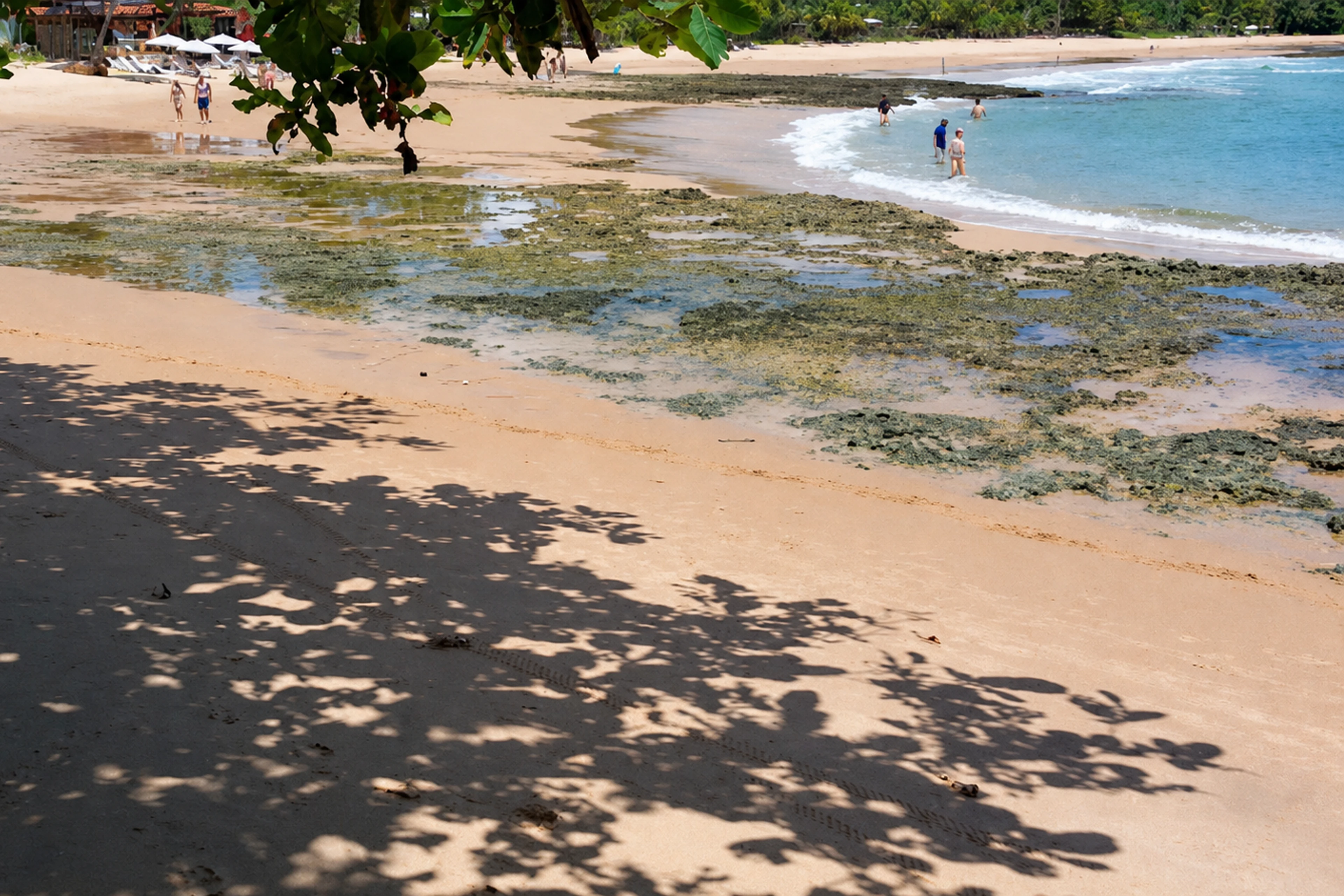 Três Coqueiros — foto 3