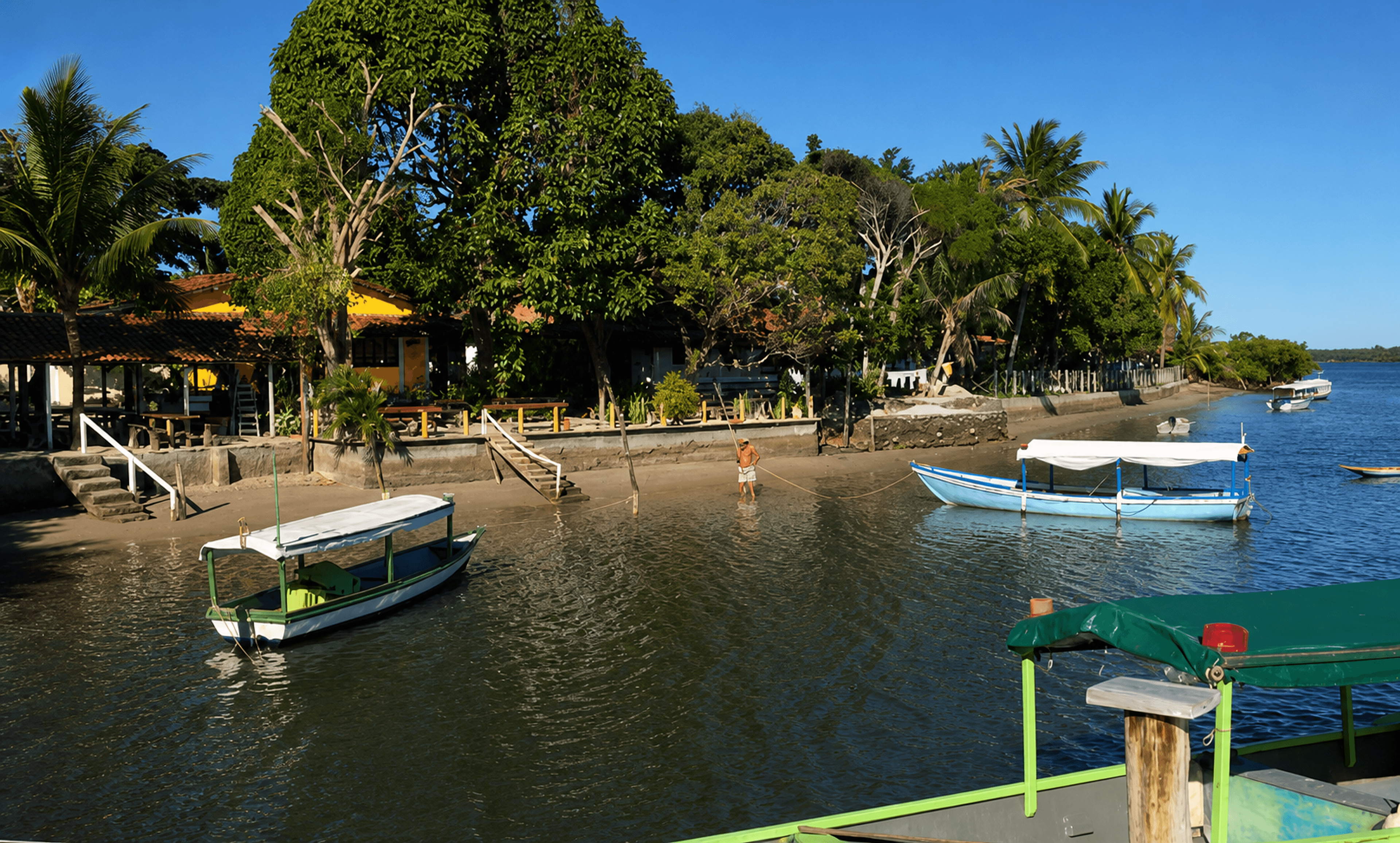 Sapinhos — foto 3 de 4